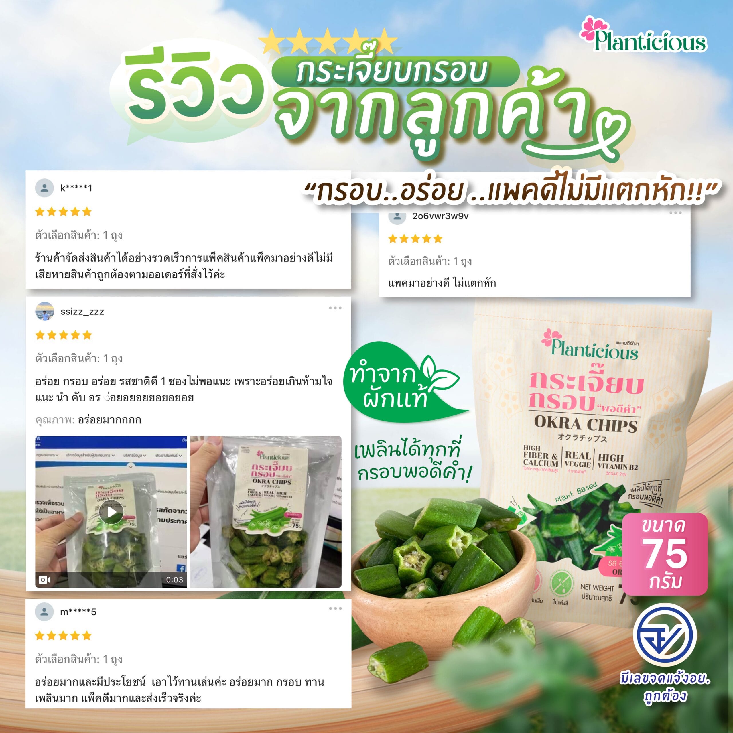 JPEG Review Okra np plant-04
