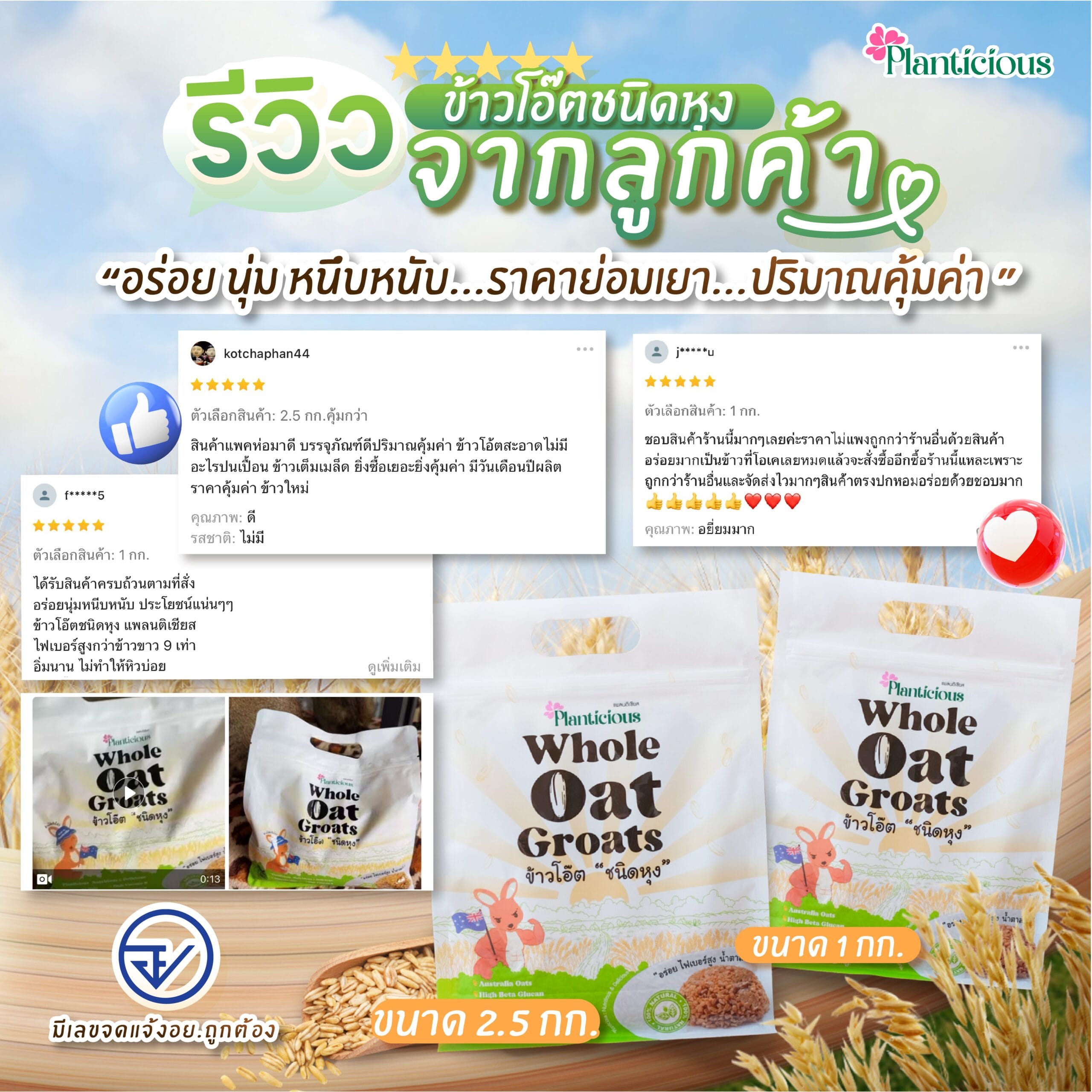 Review-02