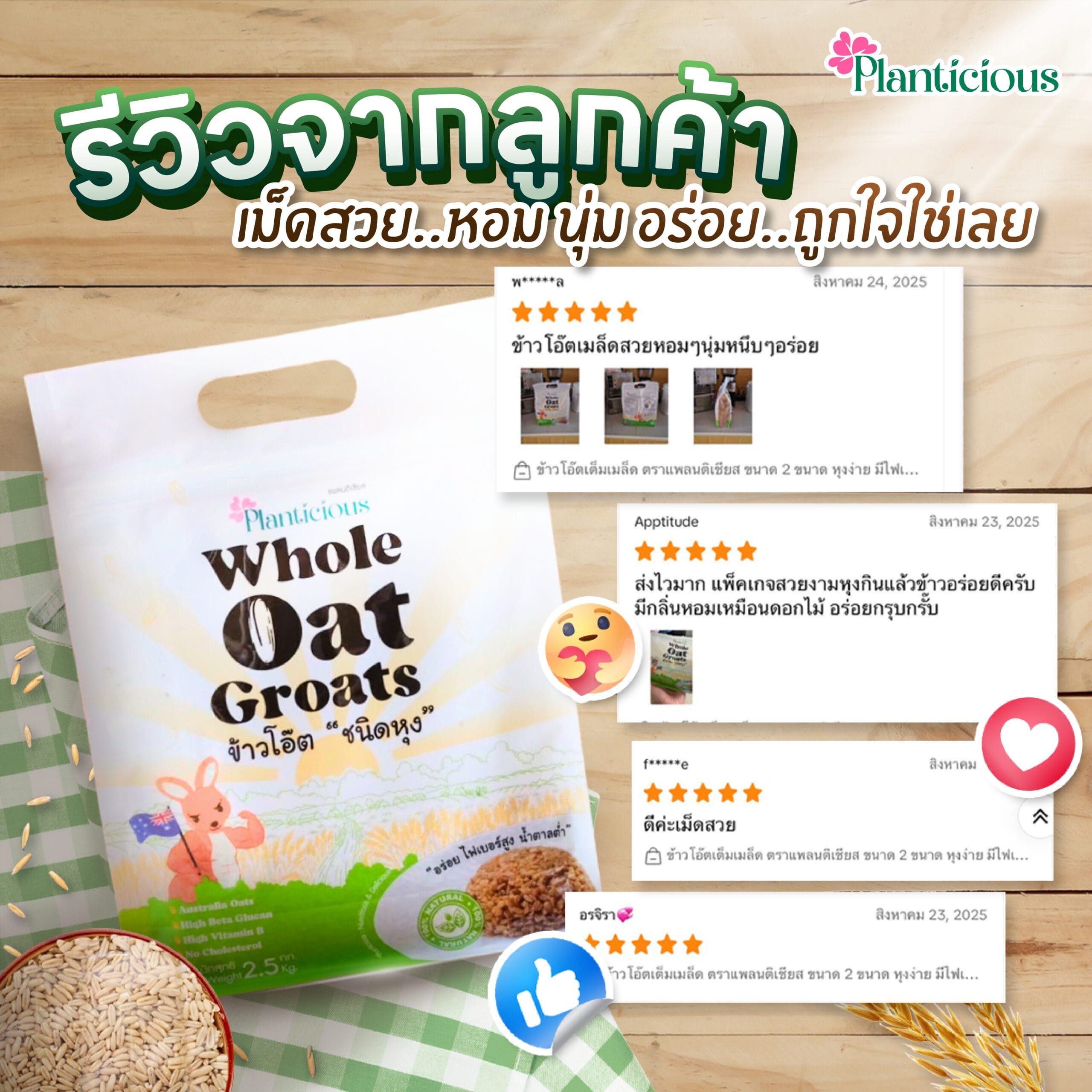 review plant-01